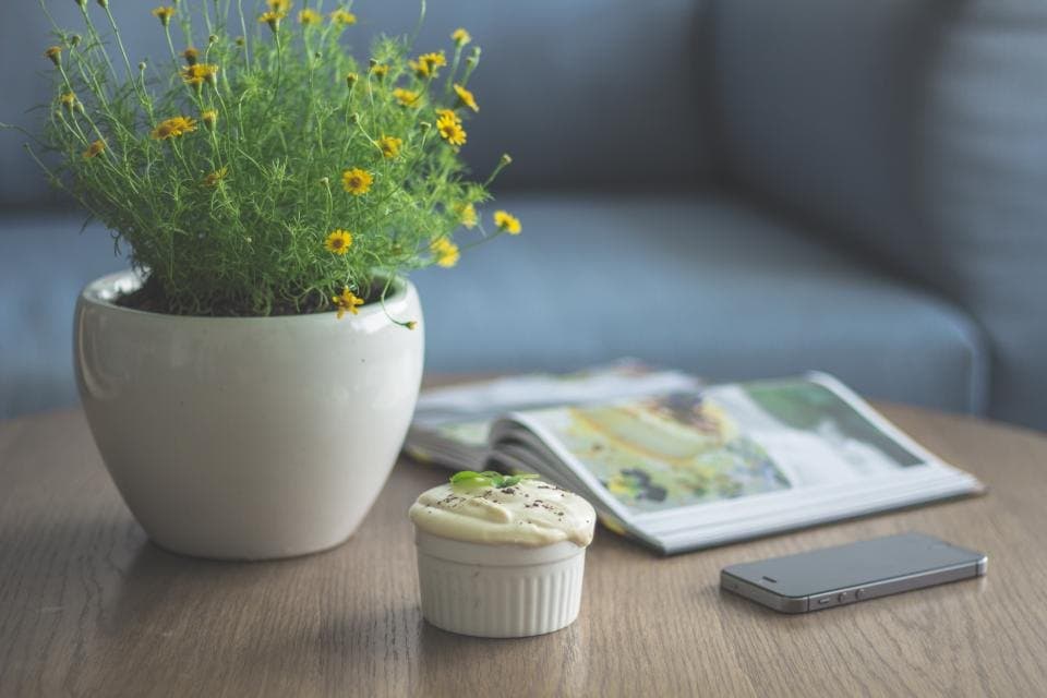 Ceramic Studio Planter